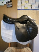 Stubben Zaria BIOMEX jumping