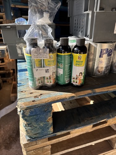 Pure neem plant - pure, for