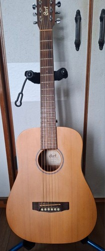 Cort earth mini - cort,