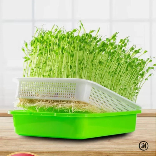 Microgreens sprouter tray for - sprouter,