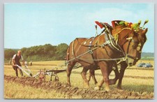 Sussex Ploughing Match Heavy