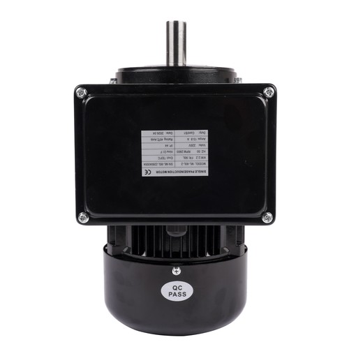 Single phase electric motor - single,