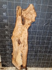 BURR ELM LIVE EDGE SLAB KILN DRIED HARDWOOD CRAFT (1663) 1300x220-330x30mm