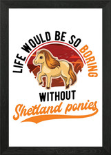 Shetland Pony Shetty Framed