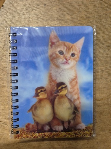 Ginger kitten notebook - ,