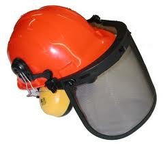 Safety helmet with ear - with,