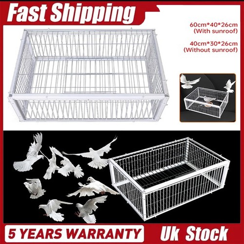 Pigeon trap cage single - trap, way