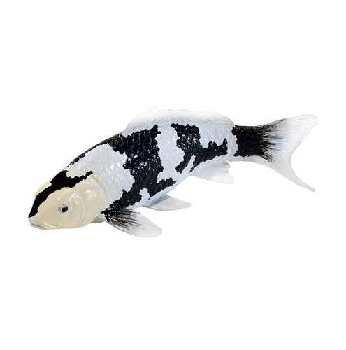 Mojo fun koi carp shiro - koi, utsuri
