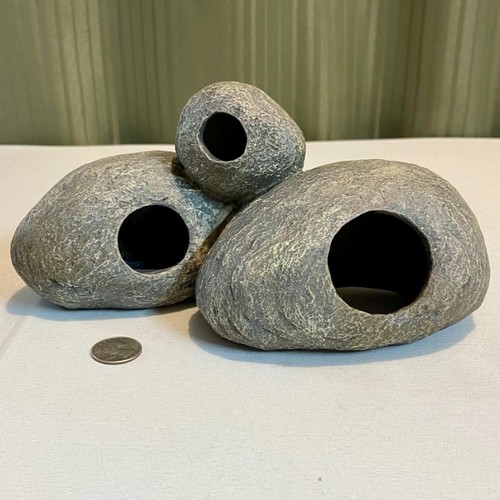 Top fin cichlid rocks aquarium - fin,
