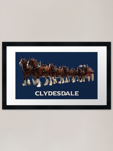 Clydesdale horse hitch - horse, framed