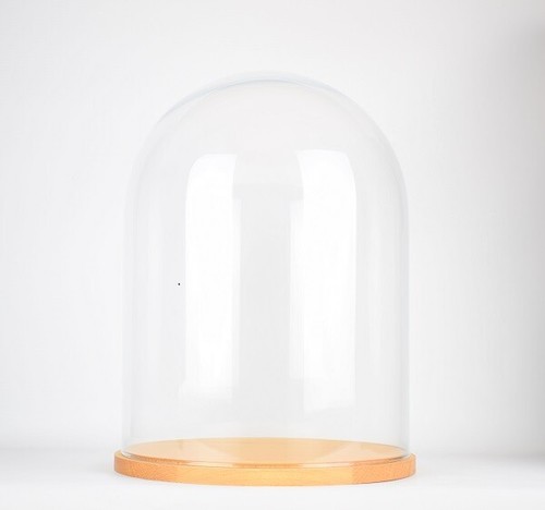 Glass dome wooden base - dome,