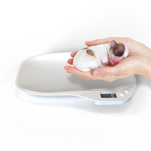 Pet scale digital weight - scale,