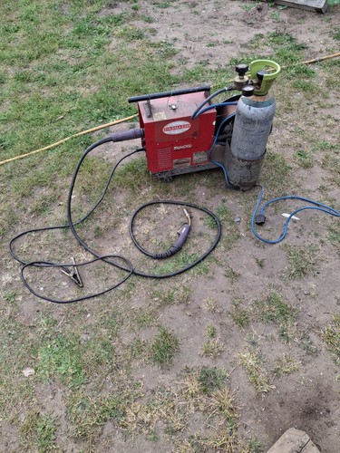 Old murex autolynx - old,