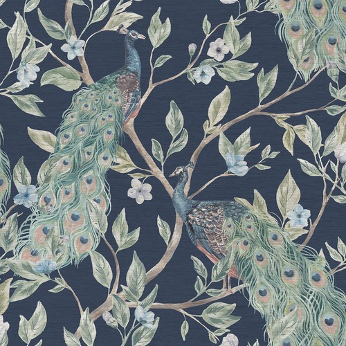 Keeka peacock wallpaper - peacock, exotic
