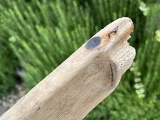 43cm Long FLAT DRIFTWOOD