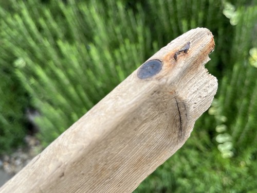 43cm long flat - flat, driftwood