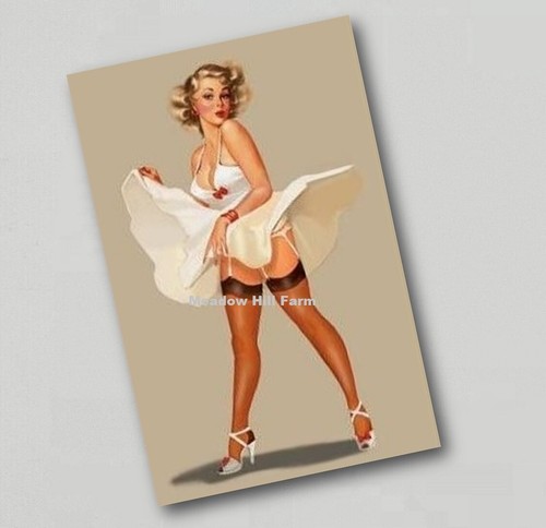 Fridge magnet pin - fridge,
