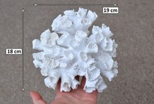 Artificial Coral Ornament