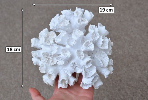 Artificial coral ornament - artificial,