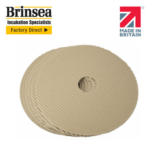 Brinsea maxi 24 - maxi, ii
