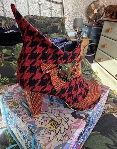 Irregular choice miaow - irregular,