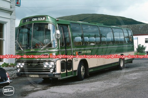 Bus coach photo - bus, eastern