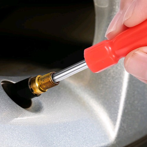 Car tire valve - car,