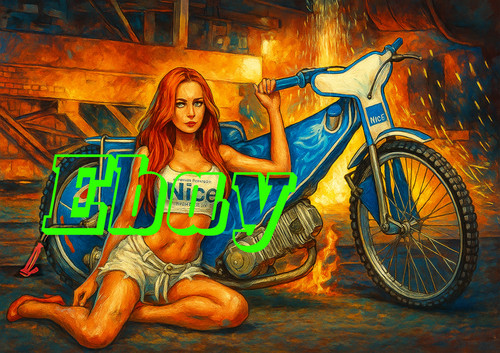 Nice speedway girl with bike - nice,