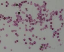 100x Top cap jewels for watch new old stock repair watchmakers parts watches