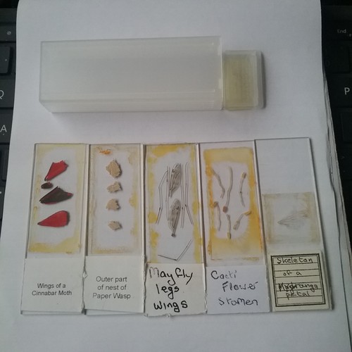 Box microscope slides - box,