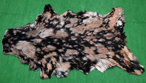 Luxury goat hide rug hair - hair, on
