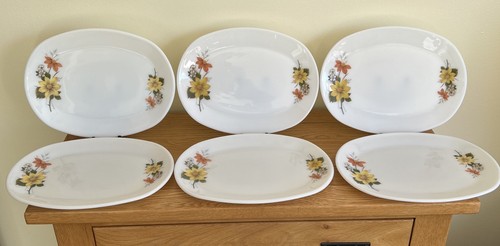 Vintage autumn glory pyrex - pyrex, 6