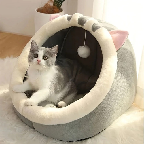 Pet cute cat warm soft - pet,