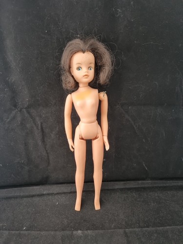 Vintage pedigree sindy doll - pedigree,