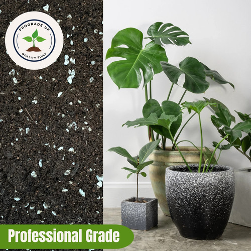 Houseplant compost with - houseplant,