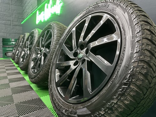 Genuine freelander - freelander, 19”