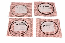PISTON RINGS FOR 1 CYLINDER 012 20 N3 MAHLE I