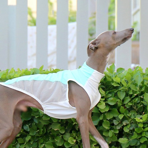 Summer mesh ice silk sunscreen - silk,