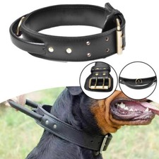 Dog Collar With Handle Real