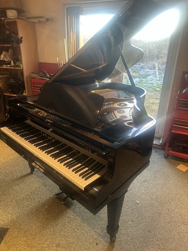 Yamaha grand hamamatsu - yamaha, g5