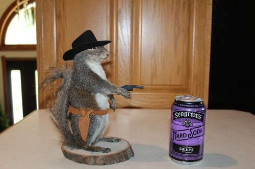 New taxidermy cowboy squirrel - new,