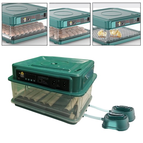 Automatic egg incubator - automatic,