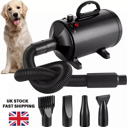 Dog dryer 2000w - dog,