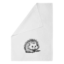 'African Pygmy Hedgehog'