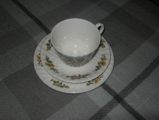 aynsley cottage garden cup/saucer/side plate trio used good
