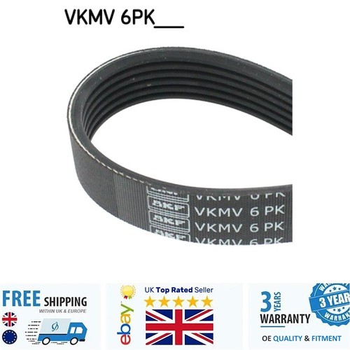 Ribbed belt for peugeot - belt,