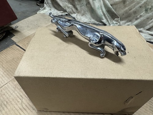 Jaguar leaping cat large - jaguar,