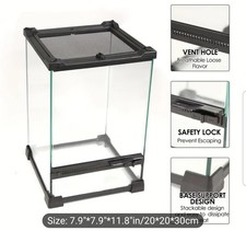 Exo Terra Glass Terrarium