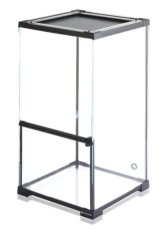 Swell reptiles glass - swell,