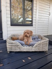 Extra Large Double Weave